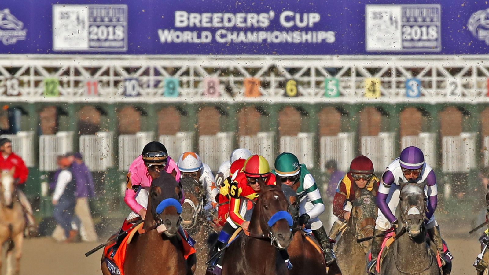 Breeders' Cup Names FanDuel & TVG Official Wagering Partners