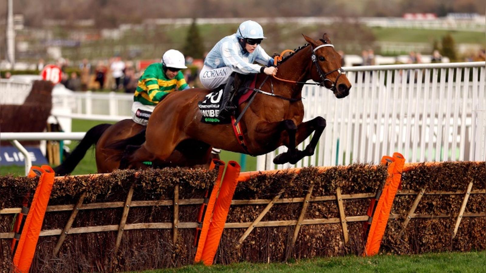 Betting Favourites To Oppose At The 2023 Cheltenham Festival