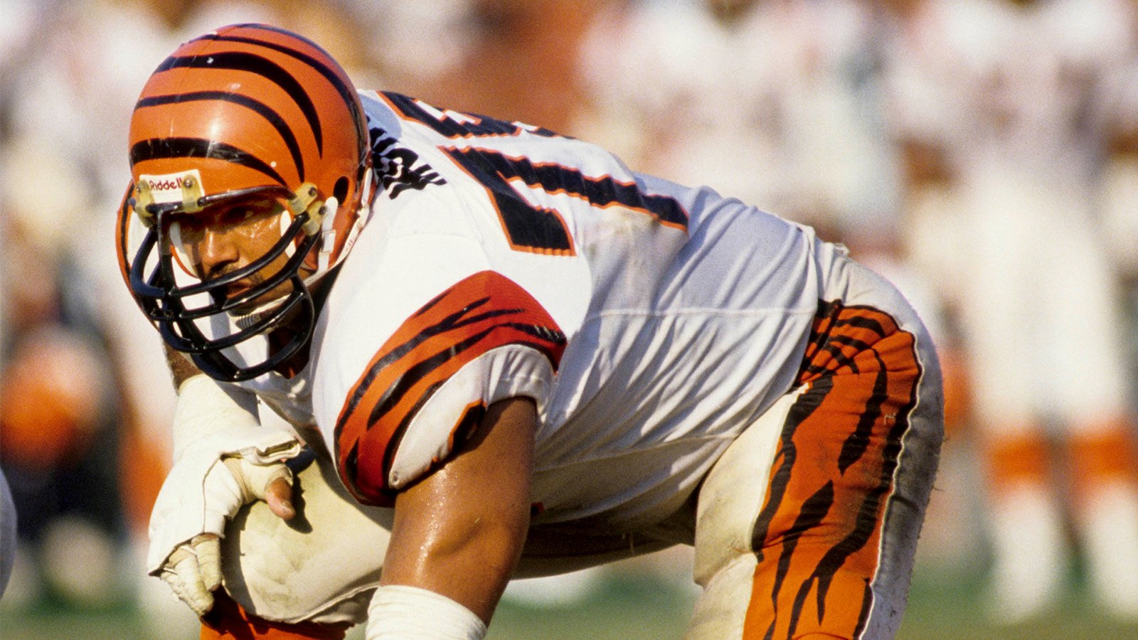 Cincinnati Bengals NFL Ring of Honor: Munoz, Anderson, Esiason & Atkins