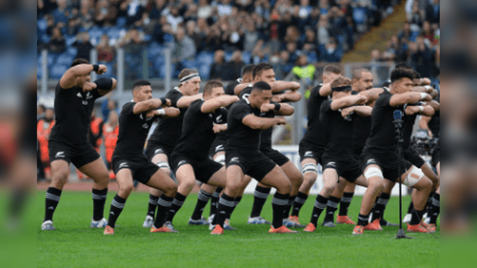 Rugby World Cup Betting Tips