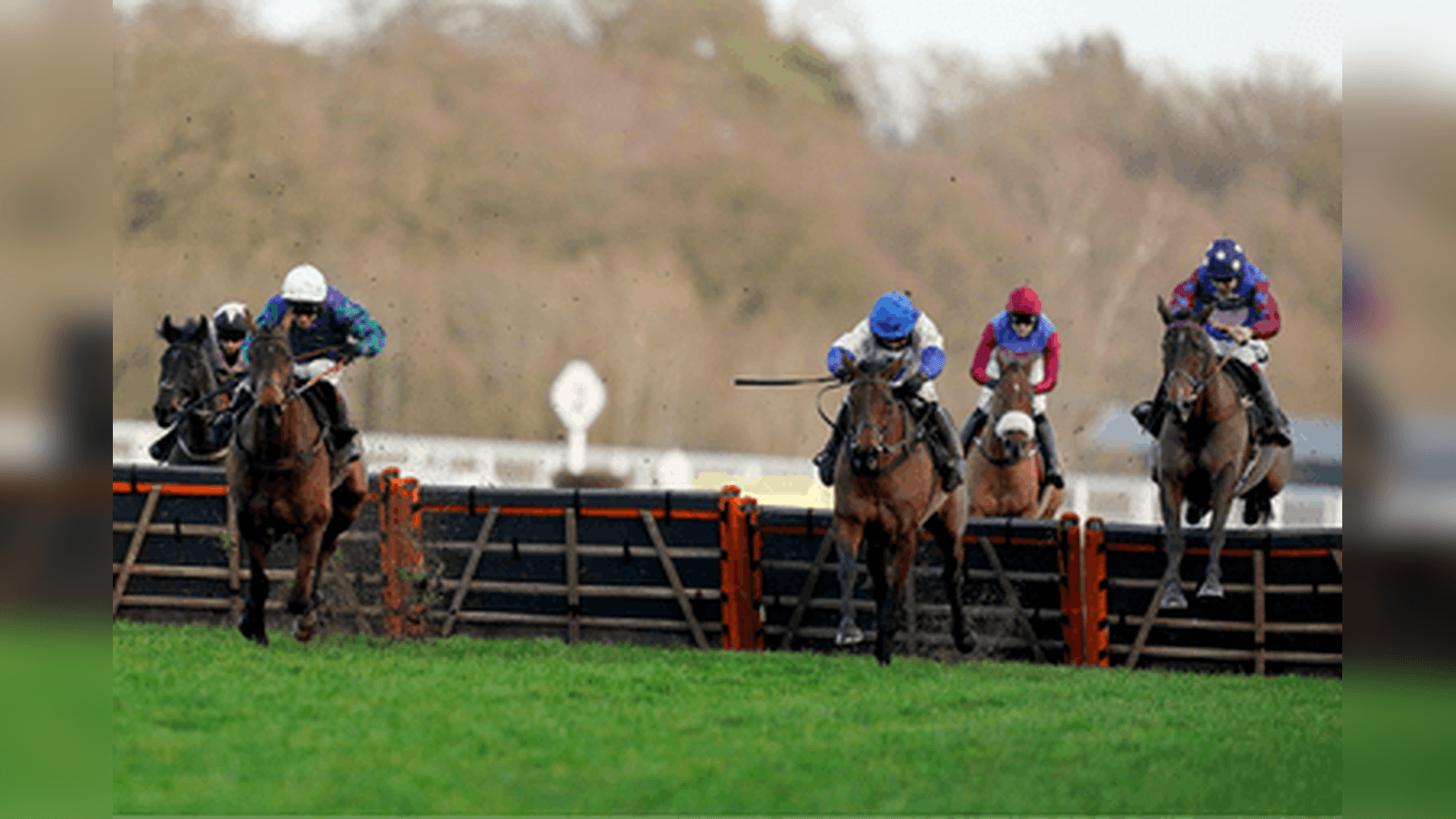 Howden Long Walk Hurdle Betting Trends and Big Race Verdict