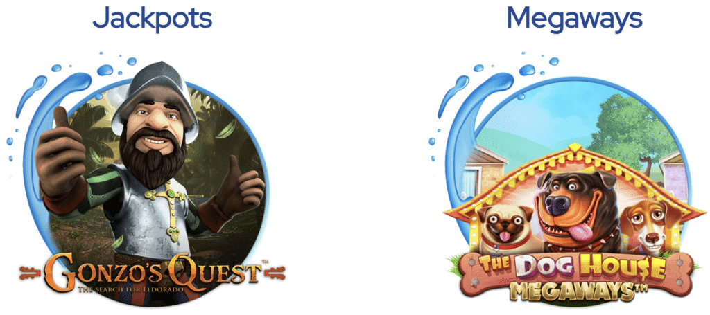 dolfwin google pay online casino